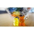 Larger Bears Silicone Gummy Bear Mold 2 Pack + 2 Bonus Droppers-Silicone Molds-Yummy Gummy Molds